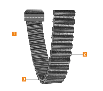 dual synchronous belts features Dual Synchronous Belts Features